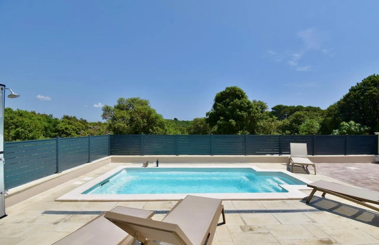 Holiday home New Amazing Holiday House With Pool Vinkuran